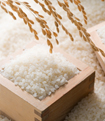 국내 쌀 수급의 문제점과 해결 과제