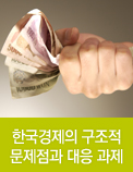 한국경제의 구조적 문제점과 대응 과제