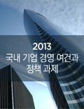 2013년 국내 기업 경영 여건과 정책 과제