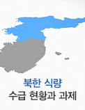 북한 식량 수급 현황과 과제