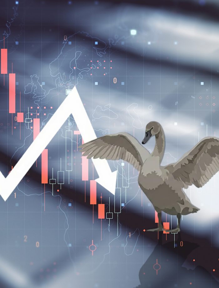 다섯 마리 그레이 스완(Gray Swan), 그 그림자가 드리운다 - 체계적 위험(Systematic Risk) 충격에 선제적으로 대비하자